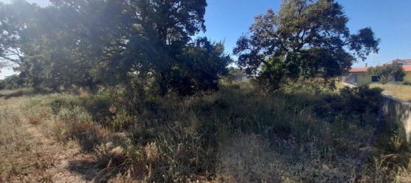 Terrain à Seixal, Portugal 975m² No. 62825 14