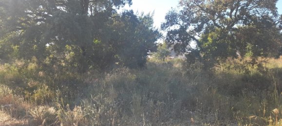 Terrain à Seixal, Portugal 975m² No. 62825 17