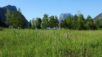 Terrain à Ebensee am Traunsee, Austria No. 69123