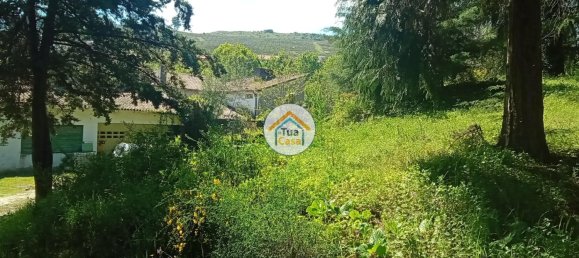 5 chambres Maison à Lamego, Portugal No. 58261 42