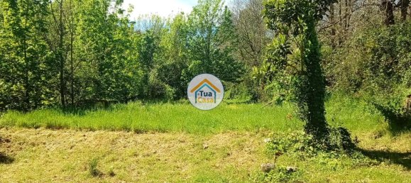 5 chambres Maison à Lamego, Portugal No. 58261 50