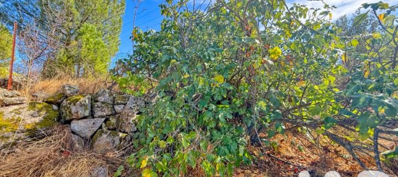 Grundstück in El Tiemblo, Spain 11300m², Nr. 292232 24