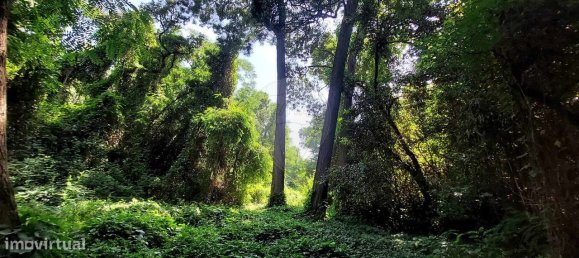 Grundstück in Caldas da Rainha, Portugal 112612m², Nr. 82243 6