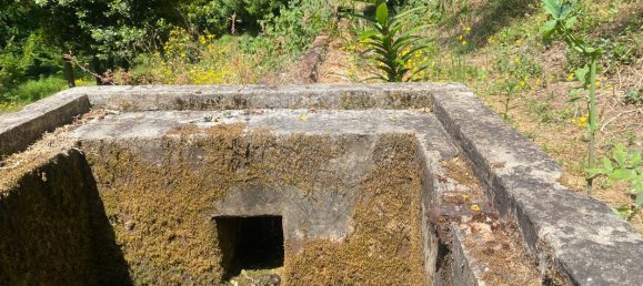 Grundstück in Caldas da Rainha, Portugal 112612m², Nr. 82243 12