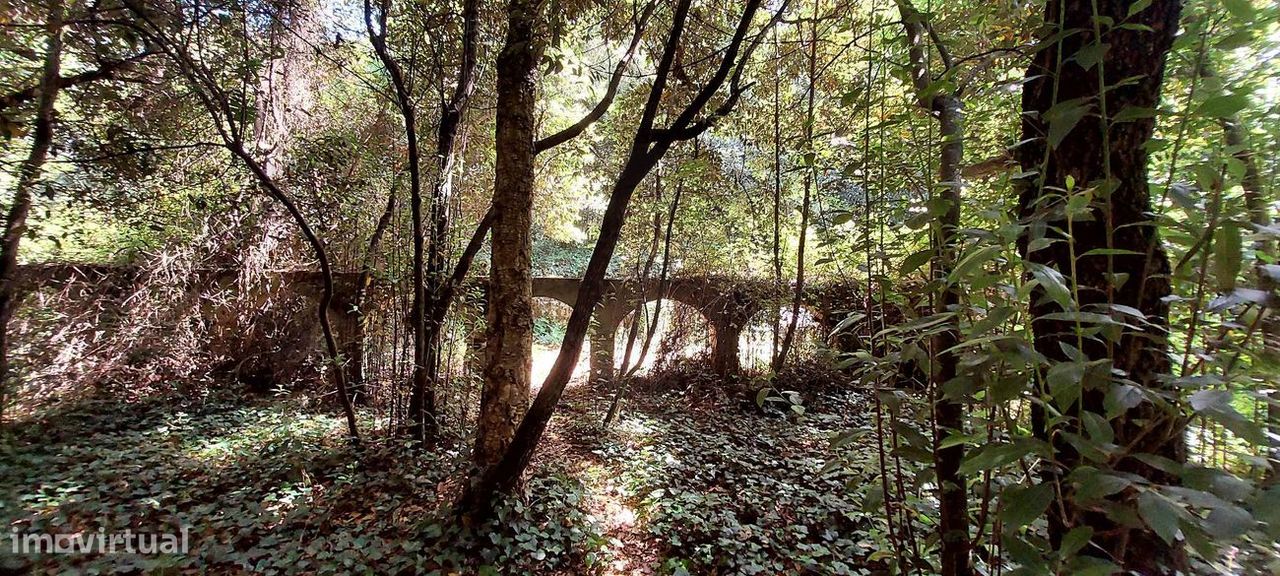 Grundstück in Caldas da Rainha, Portugal 112612m², Nr. 82243