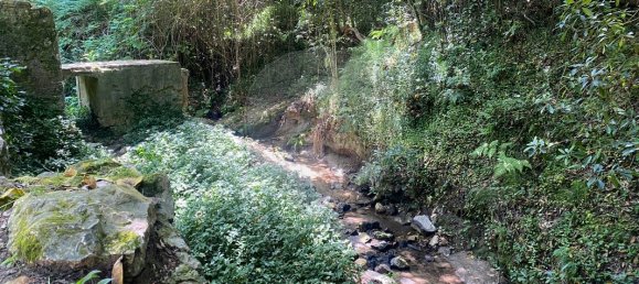 Grundstück in Caldas da Rainha, Portugal 112612m², Nr. 82243 13