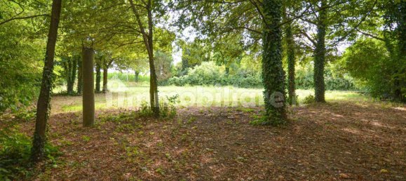 5 rooms House in Barbarano Mossano, Italy No. 265244 3