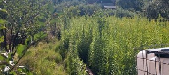 3 Schlafzimmer Stadthaus in Saint-Quirin, France, Nr. 307561 10