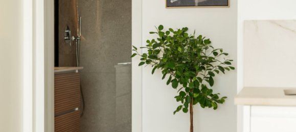 2 bedrooms Penthouse in Mijas, Spain No. 190203 17