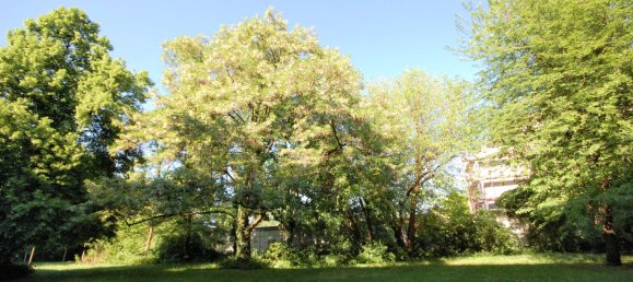 Apartamento T1 em Mitte, Germany N.º 312231 11