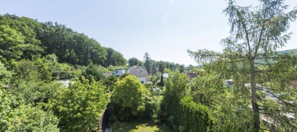 4-salle Maison à Hernals, Austria No. 162157 8