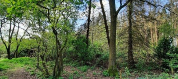  Land in Osterholz, Germany No. 371570 3