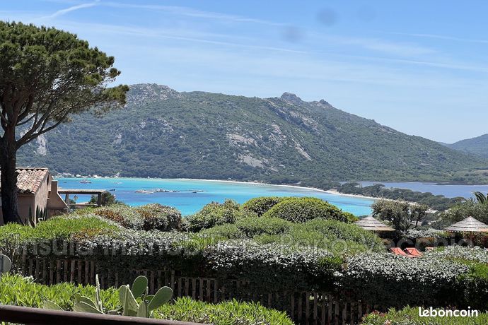 1 chambre Appartement à Porto-Vecchio, France No. 304142