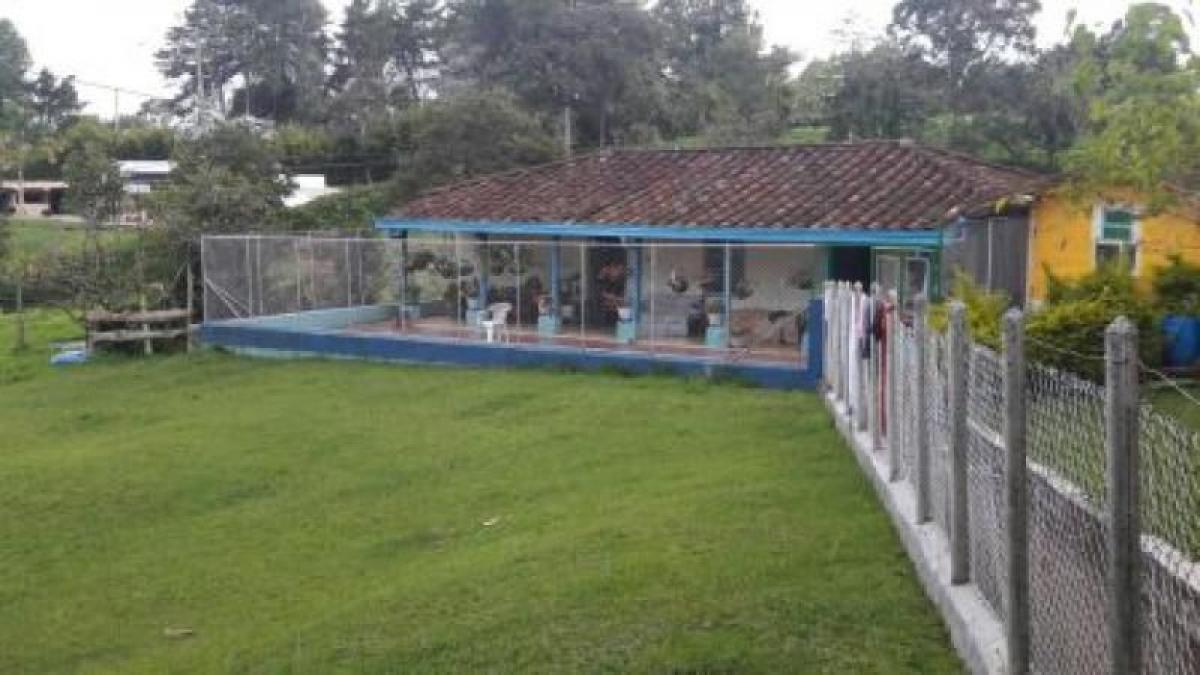 5 chambres Maison à Antioquia, Colombia No. 6633