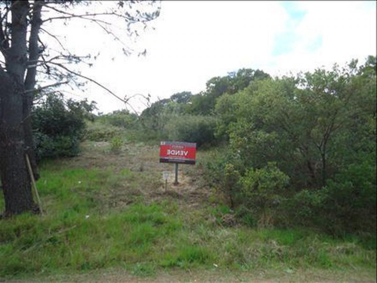 Земельный участок в Мальдонадо, Уругвай № 16015