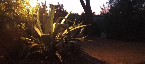 4 bedrooms Villa in Peccioli, Italy No. 90463 38