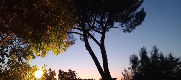 4 bedrooms Villa in Peccioli, Italy No. 90463 40