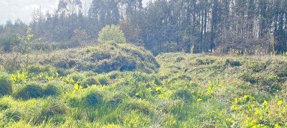 Grundstück in Abegondo, Spain 13990m², Nr. 45911 7