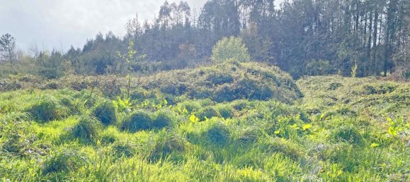 Grundstück in Abegondo, Spain 13990m², Nr. 45911 5