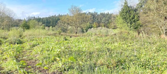 Grundstück in Abegondo, Spain 13990m², Nr. 45911 3