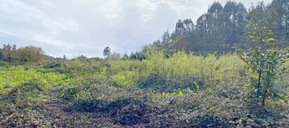 Grundstück in Abegondo, Spain 13990m², Nr. 45911 2