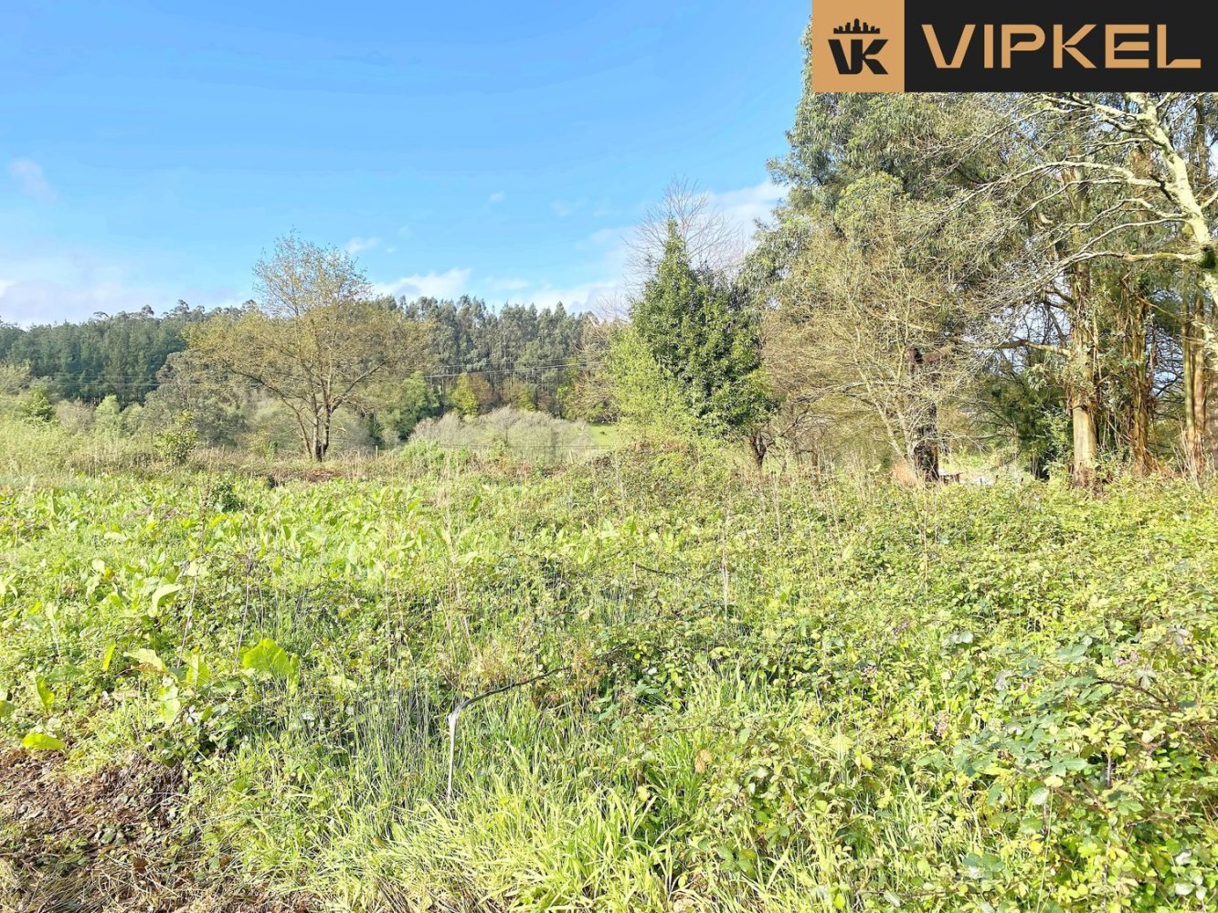 Grundstück in Abegondo, Spain 13990m², Nr. 45911