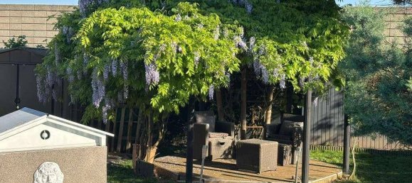 7غرفة منزل في Pasching, Austria رقم 155706 2