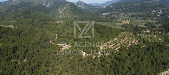 Grundstück in Canet Lo Roig, Spain, Nr. 154899 48