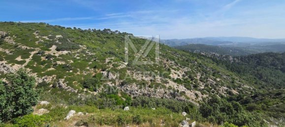 Grundstück in Canet Lo Roig, Spain, Nr. 154899 13