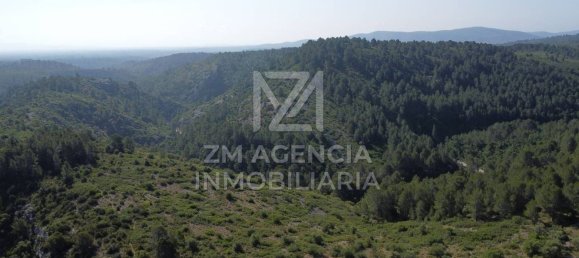 Grundstück in Canet Lo Roig, Spain, Nr. 154899 43