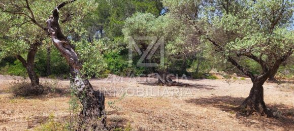 Grundstück in Canet Lo Roig, Spain, Nr. 154899 36