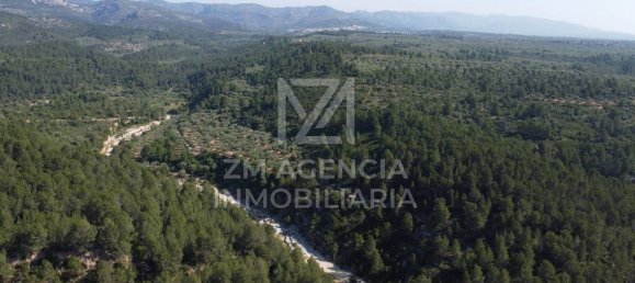 Grundstück in Canet Lo Roig, Spain, Nr. 154899 45