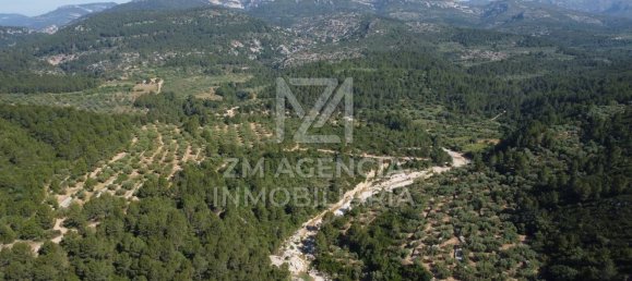 Grundstück in Canet Lo Roig, Spain, Nr. 154899 47