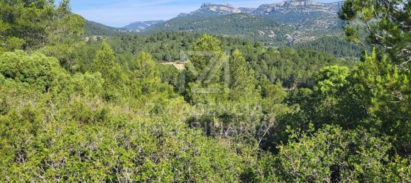 Grundstück in Canet Lo Roig, Spain, Nr. 154899 6