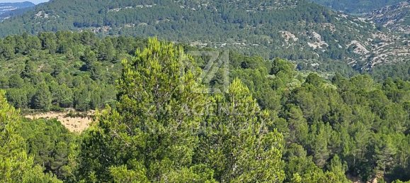 Grundstück in Canet Lo Roig, Spain, Nr. 154899 7