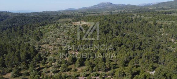 Grundstück in Canet Lo Roig, Spain, Nr. 154899 42