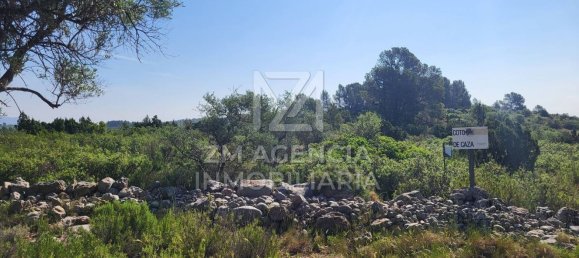 Grundstück in Canet Lo Roig, Spain, Nr. 154899 3