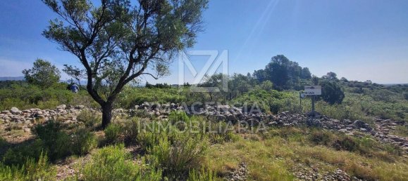 Grundstück in Canet Lo Roig, Spain, Nr. 154899 4