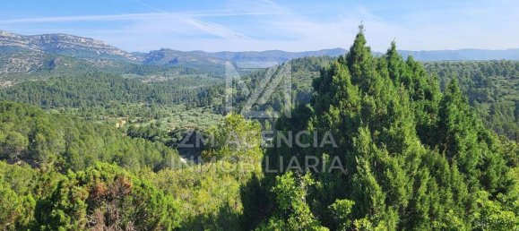 Grundstück in Canet Lo Roig, Spain, Nr. 154899 5