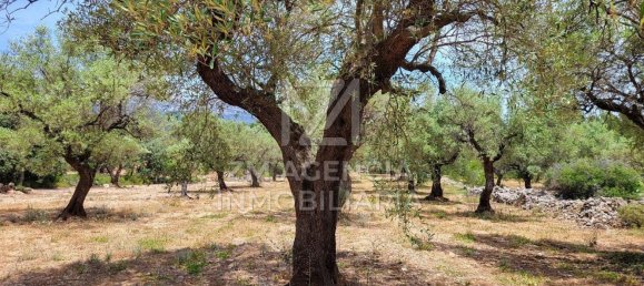 Grundstück in Canet Lo Roig, Spain, Nr. 154899 35