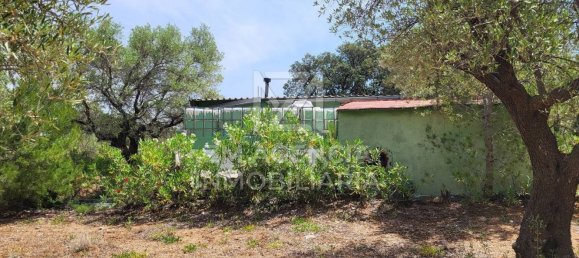 Grundstück in Canet Lo Roig, Spain, Nr. 154899 34