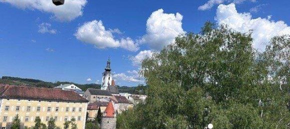 Apartamento de 4 habitaciónes en Freistadt, Austria No. 138498 5