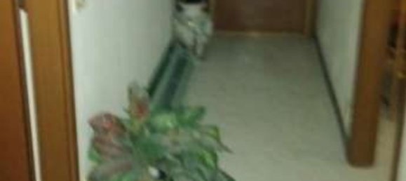 Apartamento T3 em Sesto San Giovanni, Italy N.º 373121 5