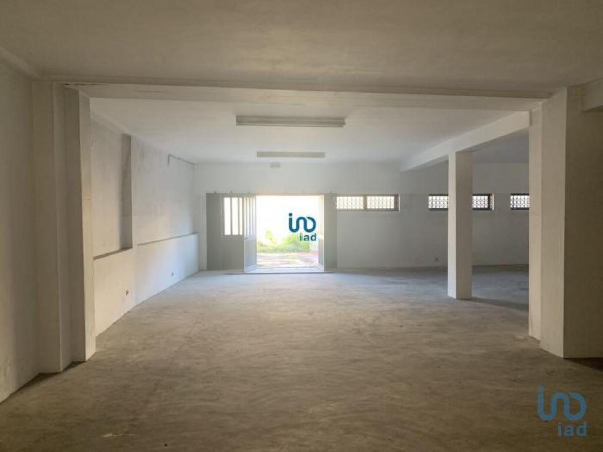 361m² Shop in Porto, Portugal No. 8387