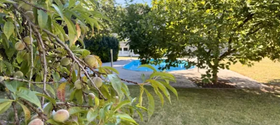 5 chambres Bungalow à Markisch-Oderland, Germany No. 371813 12