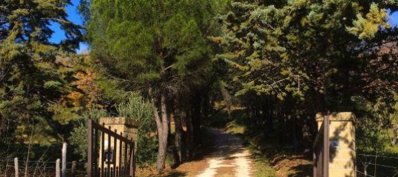 7-salle Maison à Sorano, Italy No. 114014 18