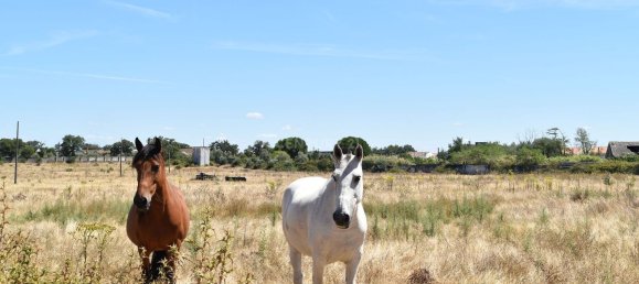  قطعة أرض في Landeira, Portugal 55732متر مربع رقم 145012 9