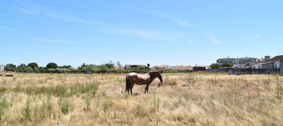  قطعة أرض في Landeira, Portugal 55732متر مربع رقم 145012 10