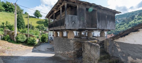 2 Schlafzimmer Haus in Cangas del Narcea, Spain, Nr. 151542 14