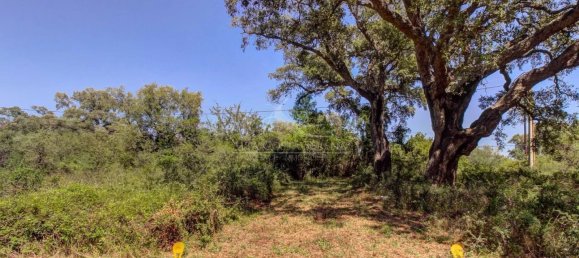 Terreno em Serra-di-Fiumorbo, France 1000 m² N.º 219771 3